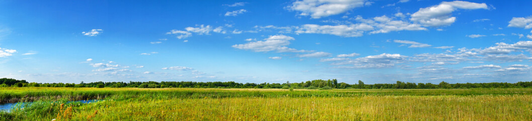 Panorama of a summer meadow against a blue sky with clouds. Summer landscape