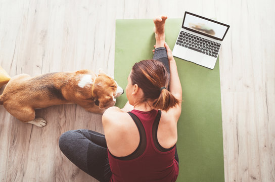 Top view at fit sporty healthy woman stretching  her body on yoga mat, watching online yoga class on laptop computer and her beagle dog keeping company next on the floor. Funny pets concept image.