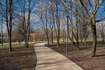 Walkway and pergola in the park