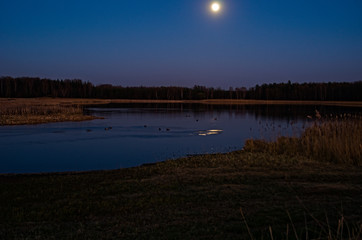 Księżyc ponad stawem i ptaki. © Jerzy