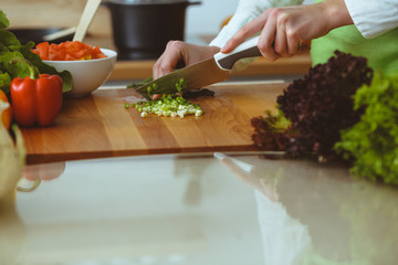Unknown human hands cooking in kitchen. Woman slicing green onion. Healthy meal, and vegetarian food concept