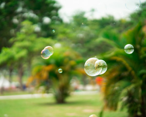 Close up Soap bubbles floating in the garden park.(Selective focus)