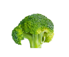 Fresh broccoli in closeup isolated on white background