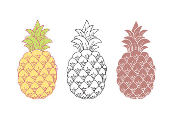 Hand drawn pineapple, sketch style and summer colors for menu and fabric 