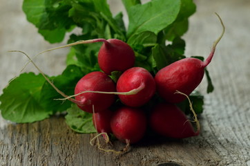 Bunch of organic red radishes with green leaves  on a wooden background. Freshly harvested spring red  radish. Growing radish. Fresh red radish. Radish bunch on rustic wooden background.