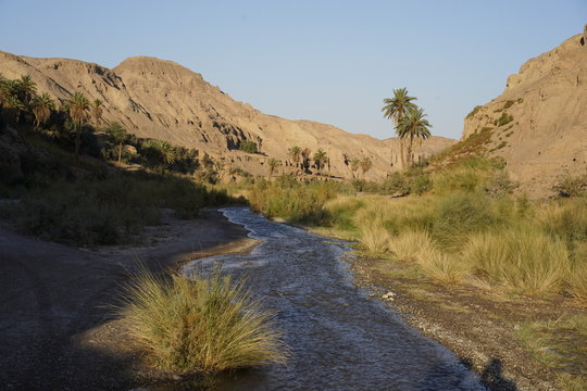 Oasis in the middle of Iranian desert Dash-e-Lut