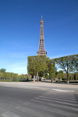 Fototapeta na wymiar Arbres du Champ de Mars devant la Tour Eiffel, pendant le confinement du au Coronavirus. Sans personnage et sans vehicule. 