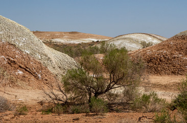 Colored, layered Aktau mountains in Kazakhstan among saxaul bushes.