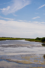 Seven Sisters country park, West Sussex, July 2019