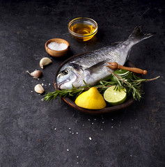 Dorado fish in the wooden plate  on black background with  rosemary, citrus, garlic   and oil. Dorado with spices.