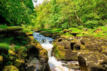 Waterfall in the forest. Yorkshire, Great Britain.