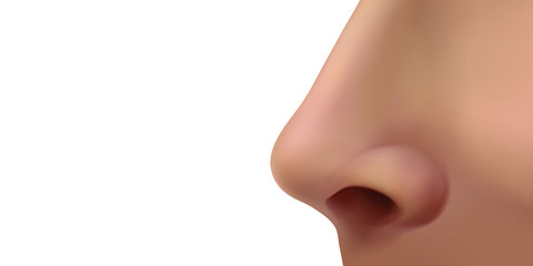 Female human nose on the face. Profile view. Vector illustration isolated on white background.