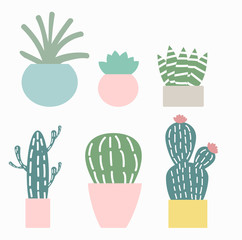 Cute Cactus vector illustration set