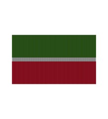 Tatarstan Flag  . The National Flag of Tatarstan 