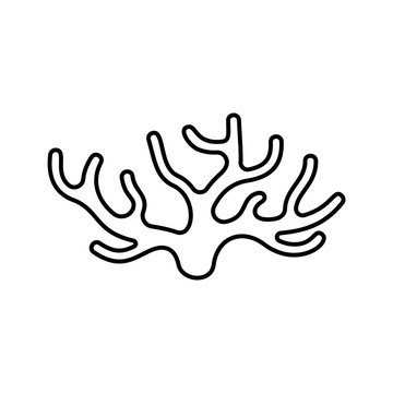 Spongilla icon. Linear logo of seaweed. Black simple illustration of coral, water plant or wooden driftwood. Contour isolated vector emblem on white background