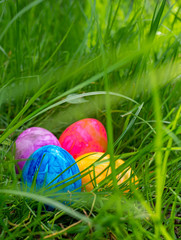 colored easter eggs in the grass easter egg hunt concept