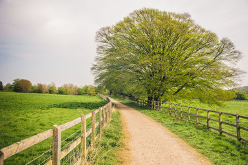 country road in the countryside