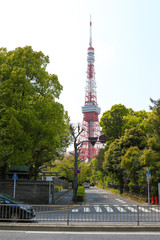 Obraz premium 東京タワーの見える景色