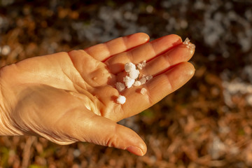 early spring. icicles of hail in the palm of your hand