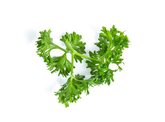 Parsley isolated on white background