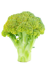 Slightly overripe broccoli cabbage isolated on white background