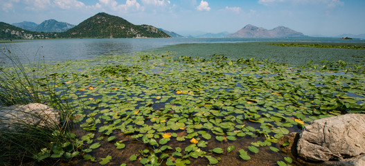 Lake Skadar, Montenegro