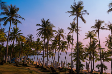 Obraz na płótnie Canvas Beautiful beach with palms at sunset in Phu Quoc, Vietnam