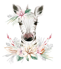 A trendy poster with a zebra. Watercolor cartoon zebra savanna animal illustration. Jungle savannah tropical exotic summer print