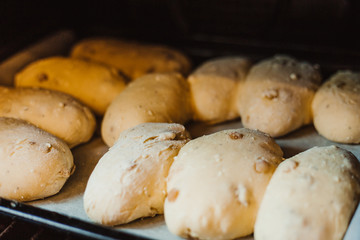 many raw buns on a baking sheet in the oven. Raw dough. Unbaked buns. Selective focus