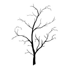 tree branch wood plant silhouette lineart trunk