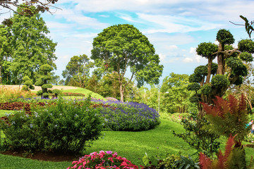 A beautiful garden with flowers, shrubs and trees in a tropical park in Northern Thailand.