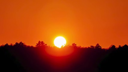 Sunset forest timelapse, sun moving down treetops timelaps, red sky above trees time lapse - fast motion 4K video clip footage. Telephoto lens clean clear skies.