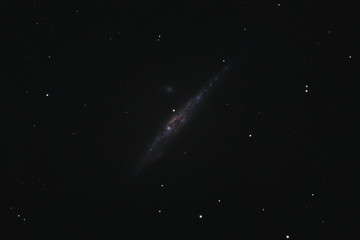 The Whale Galaxy NGC 4631 in the constellation Canes Venatici photographed with a Maksutov...