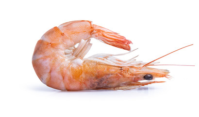 clipping path shrimp isolated on white background