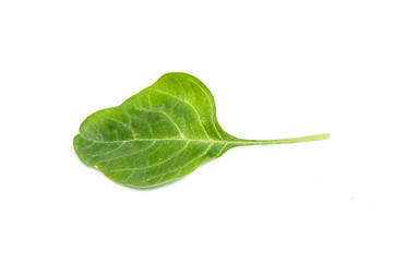 spinach vegetable isolated on white background clipping path