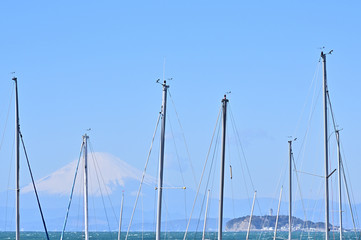 Harbor and Mt. Fuji