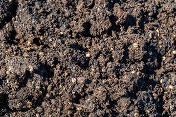 Waste products are discarded during preliminary processing Robusta and arabica coffee berries in factory, Gia Lai, Vietnam