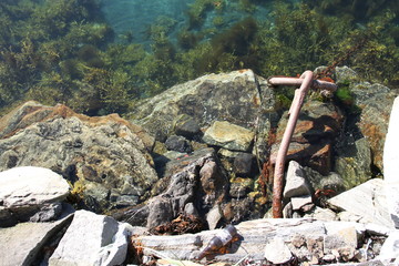  tromso tromsø  water travel tourism sea coast nature port blue landscape sky harbor architecture europe boatship mountain summer bay view city beautifull 