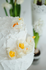 white cake hyacinths and yellow daffodils on the table