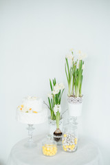 white cake hyacinths and yellow daffodils on the table