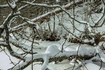 Frosty winter landscape. Snowy trees on mountain river side. Winter in mountains. Beautiful nature in december. Christmas time