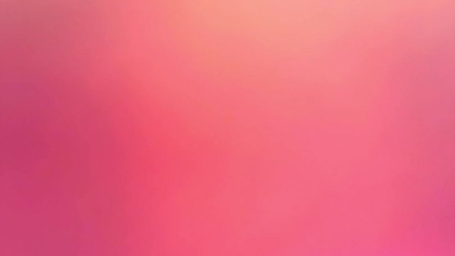 Microscope Dog Colurmar Epihelium Section x1200 Focusing