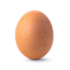 Egg on white background