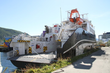bird birds cormorants tromso tromsø  water travel tourism sea coast nature port blue landscape sky harbor architecture europe boatship mountain summer bay view city beautifull and mark mediterranean 