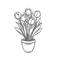 Tulips in a pot