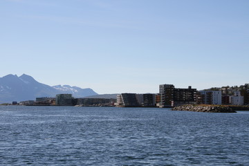 Fototapeta premium bird birds cormorants tromso tromsø water travel tourism sea coast nature port blue landscape sky harbor architecture europe boatship mountain summer bay view city beautifull and mark mediterranean 