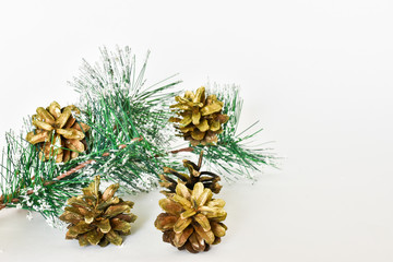 Christmas tree and cones with snow on a white background with copy space