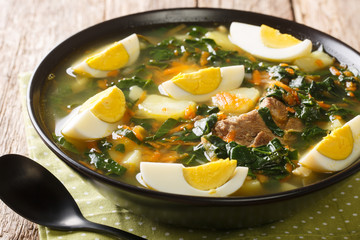 Hot rich soup with meat, spinach, vegetables and eggs close-up in a bowl. horizontal