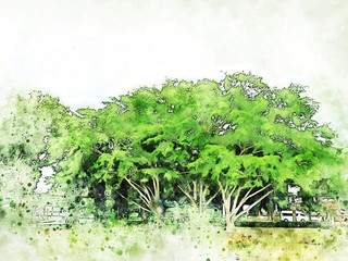 abstract colorful mountain range and tree landscape on watercolor illustration painting background.