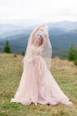 Beautiful bride posing in her wedding dress on a background of mountains.